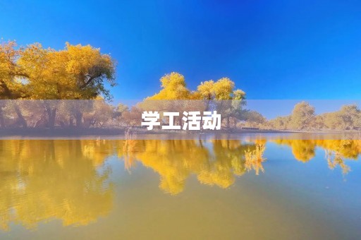 学工活动 学工活动