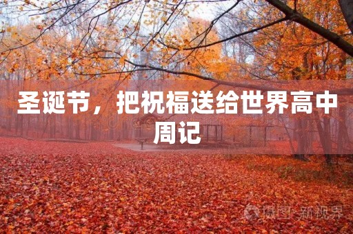 圣诞节，把祝福送给世界高中周记