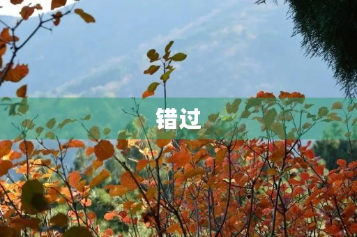 错过