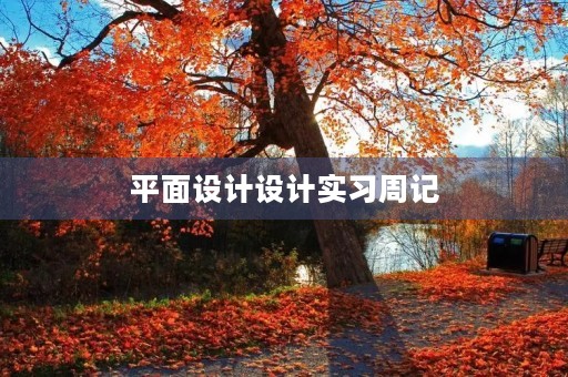 平面设计设计实习周记 平面设计设计实习周记