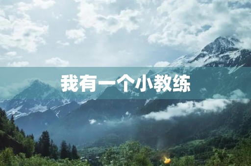 我有一个小教练 我有一个小教练