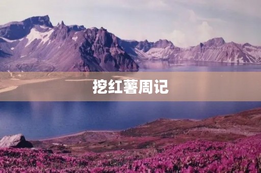 挖红薯周记 挖红薯周记