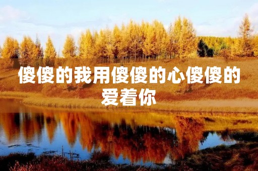 傻傻的我用傻傻的心傻傻的爱着你