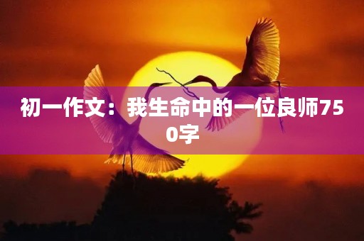 初一作文:我生命中的一位良师750字 初一作文:我生命中的一位良师750字