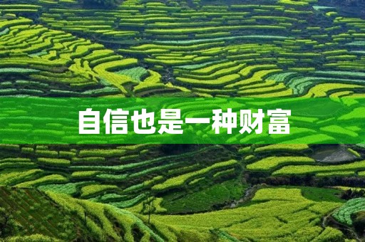 自信也是一种财富 自信也是一种财富