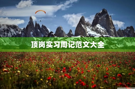 顶岗实习周记范文大全 顶岗实习周记范文大全