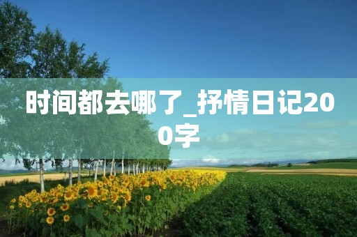 时间都去哪了_抒情日记200字