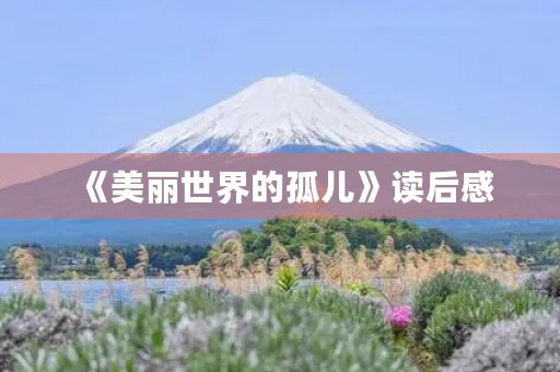 《美丽世界的孤儿》读后感