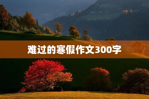 难过的寒假作文300字 难过的寒假作文300字