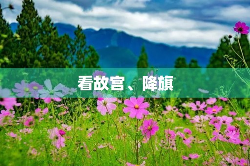 看故宫、降旗