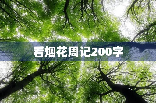 看烟花周记200字 看烟花周记200字