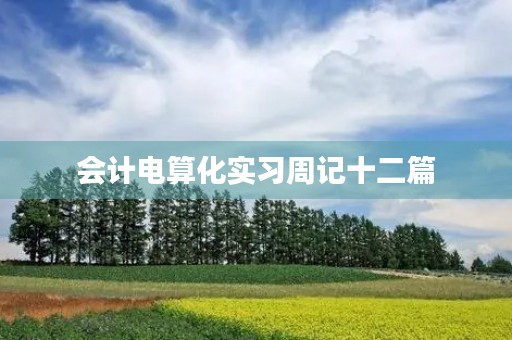 会计电算化实习周记十二篇