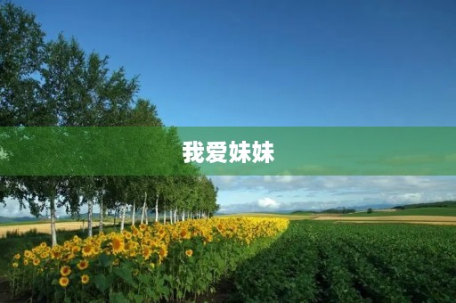 我爱妹妹 我爱妹妹