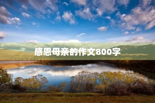 感恩母亲的作文800字