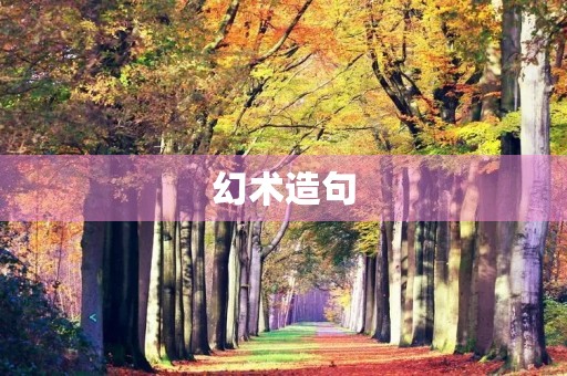 幻术造句