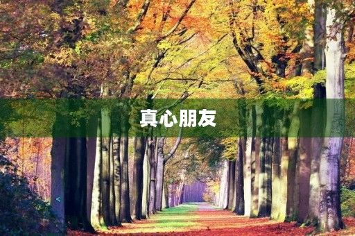 真心朋友