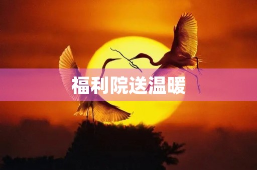 福利院送温暖 福利院送温暖