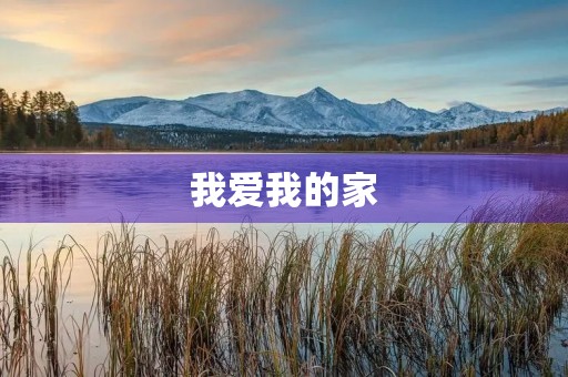我爱我的家 我爱我的家
