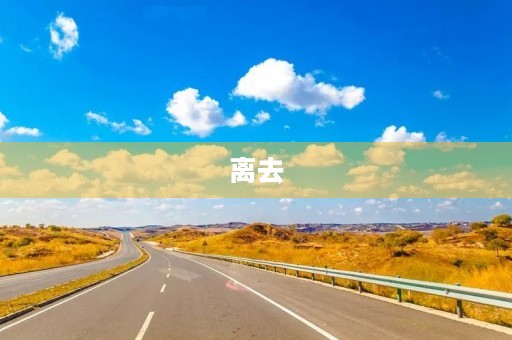 离去
