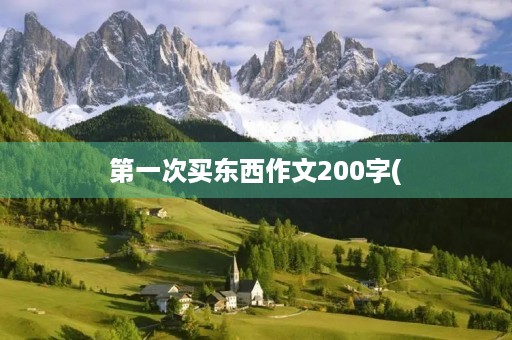 第一次买东西作文200字( 第一次买东西作文200字(