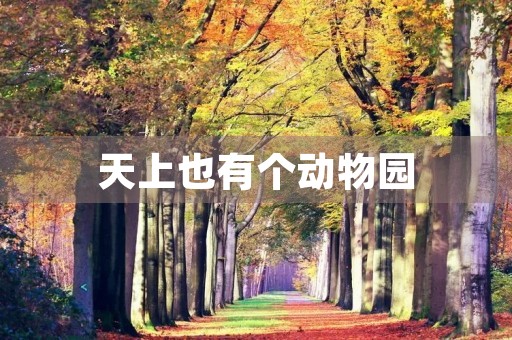 天上也有个动物园 天上也有个动物园