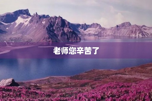 老师您辛苦了