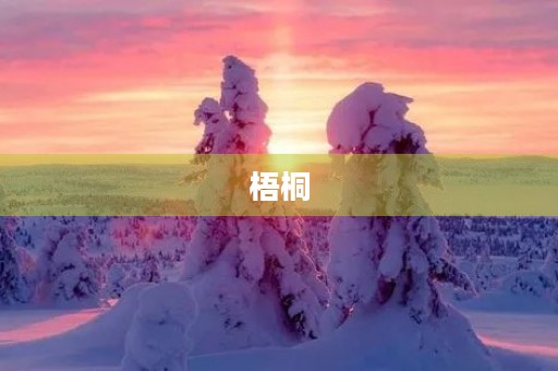 梧桐