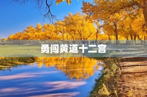 勇闯黄道十二宫 勇闯黄道十二宫