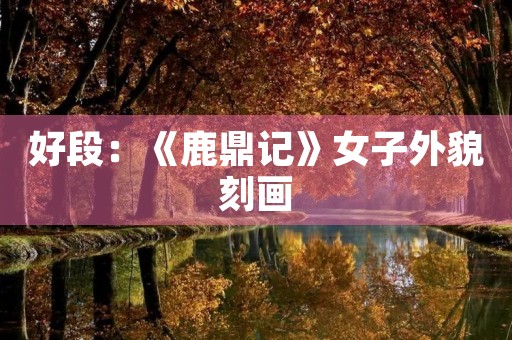 好段:《鹿鼎记》女子外貌刻画 好段:《鹿鼎记》女子外貌刻画