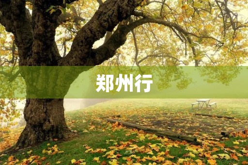 郑州行 郑州行