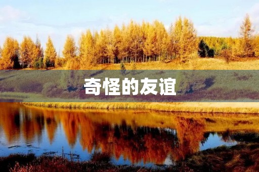 奇怪的友谊 奇怪的友谊