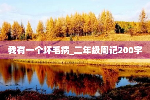 我有一个坏毛病_二年级周记200字 我有一个坏毛病_二年级周记200字