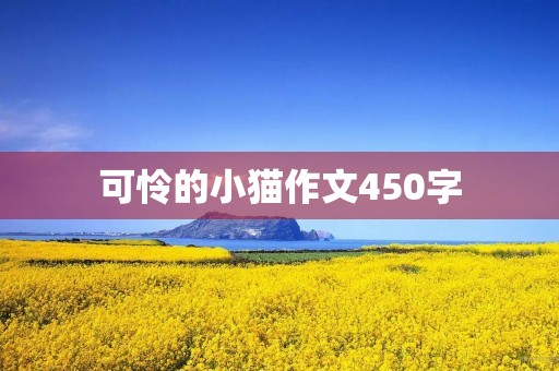 可怜的小猫作文450字 可怜的小猫作文450字