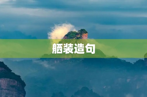 舾装造句