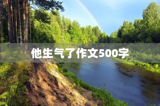 他生气了作文500字 他生气了作文500字