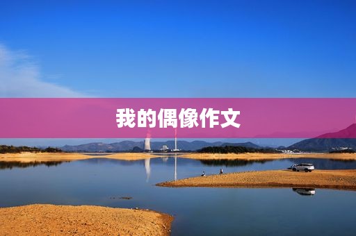 我的偶像作文 我的偶像作文