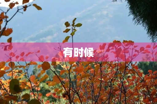 有时候 有时候