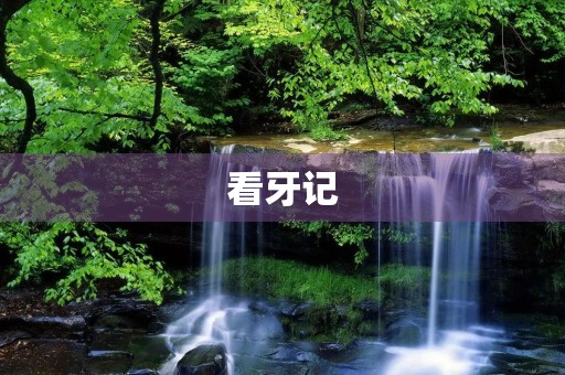 看牙记 看牙记
