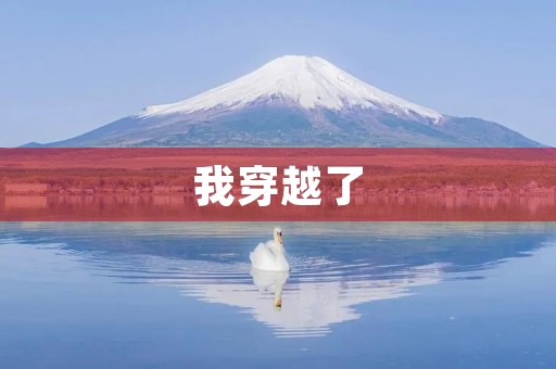我穿越了 我穿越了