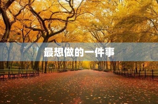 最想做的一件事