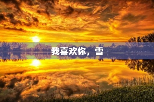 我喜欢你，雪