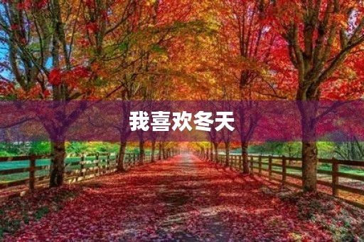 我喜欢冬天 我喜欢冬天