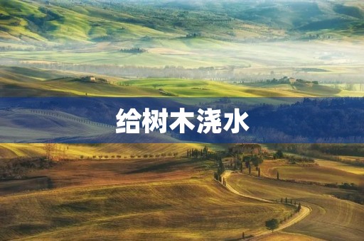 给树木浇水