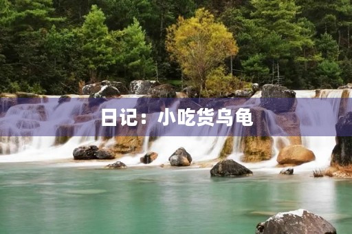 日记：小吃货乌龟