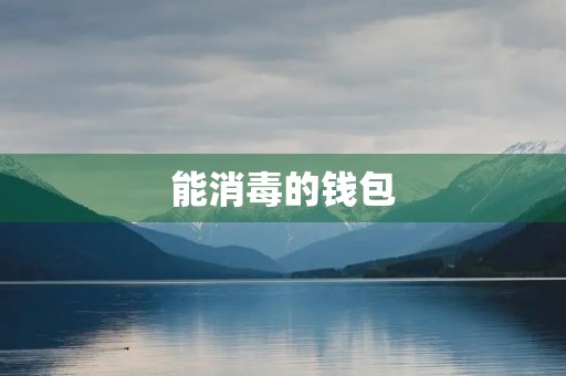 能消毒的钱包 能消毒的钱包