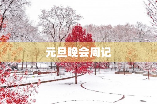 元旦晚会周记 元旦晚会周记