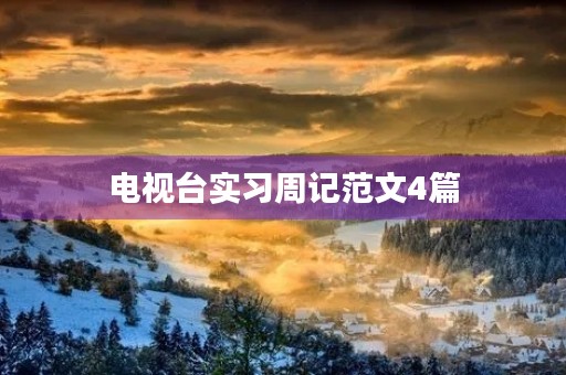 电视台实习周记范文4篇