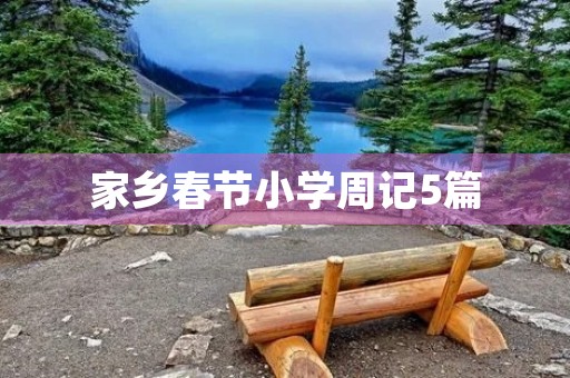 家乡春节小学周记5篇 家乡春节小学周记5篇