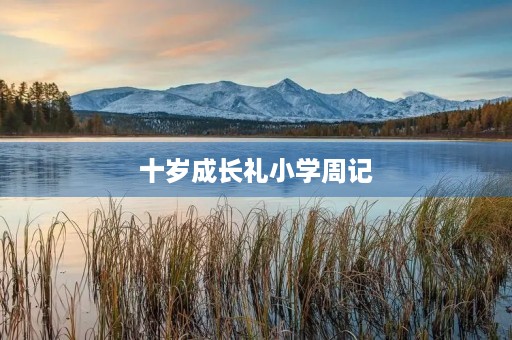 十岁成长礼小学周记 十岁成长礼小学周记