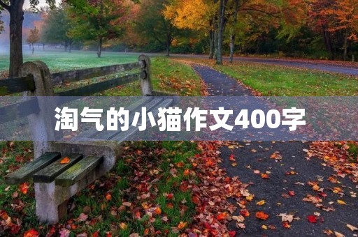 淘气的小猫作文400字
